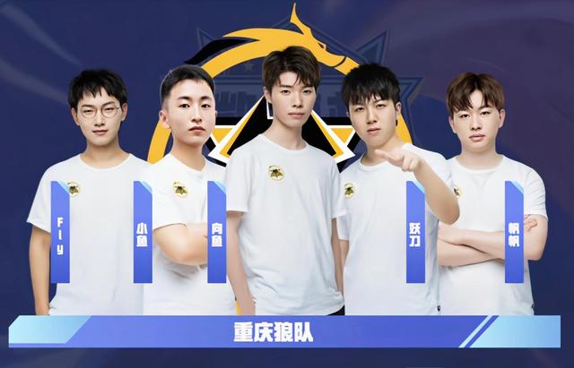 后果记